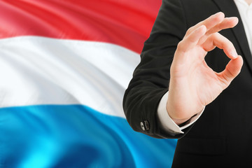 Fototapeta premium Luxembourg acceptance concept. Elegant businessman is showing ok sign with hand on national flag background.