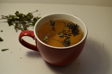 cup of green tea