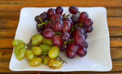 Grapes on the vine at summer day