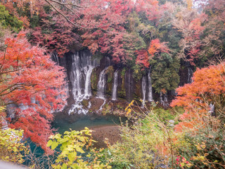 Shiraito waterfalls, surrounded by fall foliage