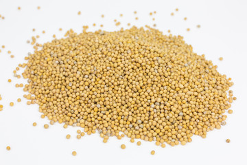 heap of yellow mustard seeds