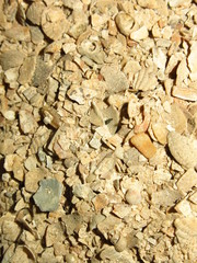 small crushed seashell feeding-limestone for chickens