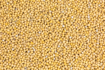 background of yellow mustard seeds