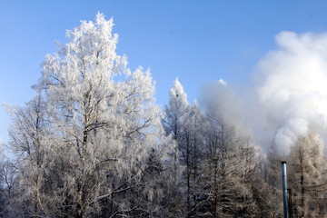 Beautiful winter day with white trees, blue sky and metal chimney with smoke