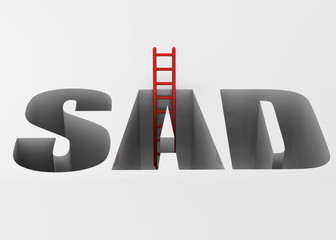 Sad and Ladder - 3D