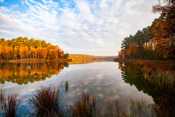 Jezioro jesień chmury trzcina