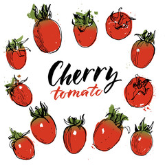 Hand drawn tomatoes set. Line drawing, sketch. Vector illustration.