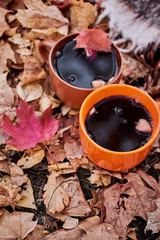 In nature, in the forest, they cooked real hot mulled wine at the stake in the autumn. Pours...