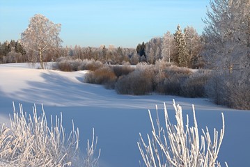 Beautiful sunny winter day with white trees,cold winter day