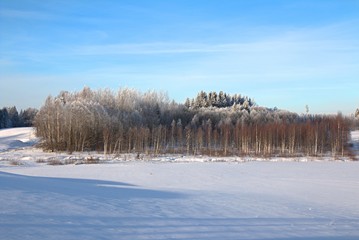 Beautiful sunny winter day with white trees,cold winter day