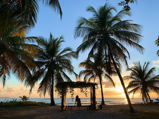 Sunrise at the beach among coconut trees in Sao Miguel dos Milagres Alagoas, Brazil 