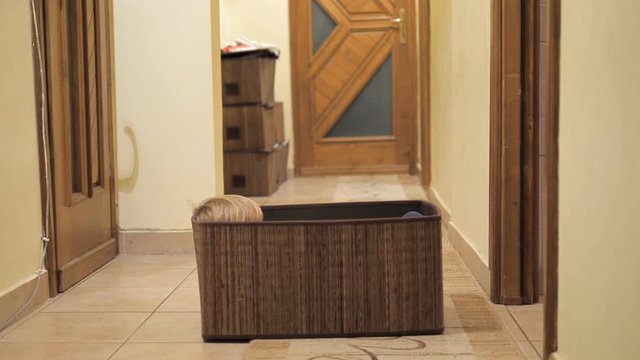 Little kid playing home relaxing into a box