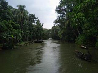 Fototapeta premium river and trees