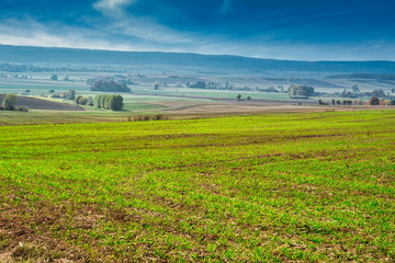 Fototapeta na wymiar Felder mit Getreide Saat im Frühling