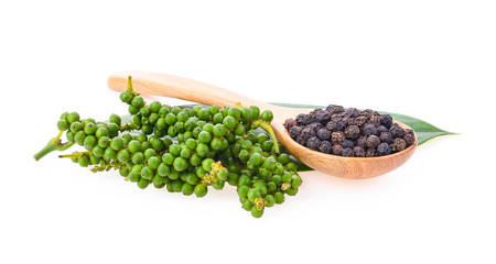 Fresh young green pepper corns and dried black pepper corns on white background