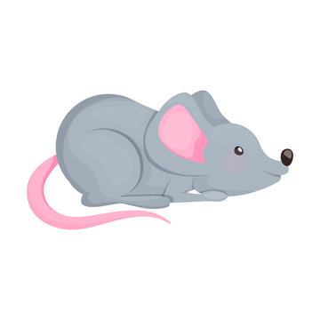Gray mouse vector. Symbol of new 2020 year.