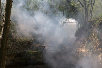 Smoke in the forest.