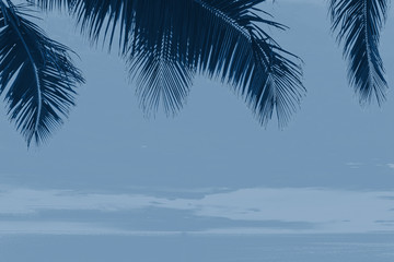 Sunset and palms. Classic Blue abstract background. Color of the year 2020.