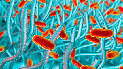 Whooping cough bacteria Bordetella pertussis in respiratory tract, 3D illustration showing cilia of respiratory epithelium and bacteria - obrazy, fototapety, plakaty