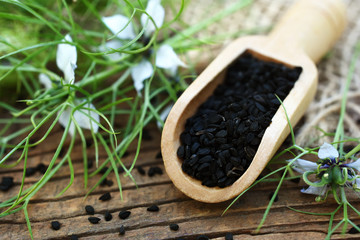 Black cumin (nigella sativa or kalonji) seeds in spoon on plants background	