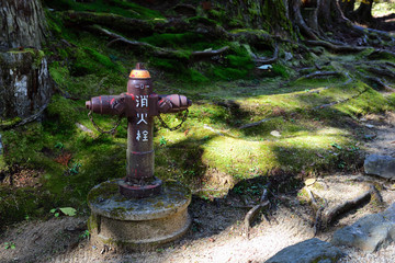 Koyasan, Japan - November 20, 2019: Vintage red fire hydrant at Danjo Garden Complex area in...