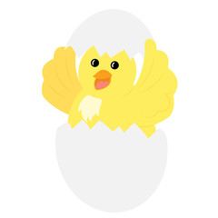 Cartoon chick. The nestling hatched from an egg. Vector illustration on a white background. Drawing for children.