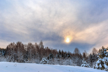 winter landscape with trees and blue sky