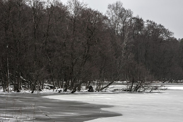 frozen lake against the background of a winter forest