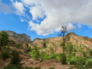 Landscape with puffy clouds and mountains and trees in Zion National Park in Utah