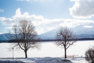 Winterlandschaft mit kahlen Bäumen vor schneebedecktem See mit blauem Himmel mit weißen Wolken