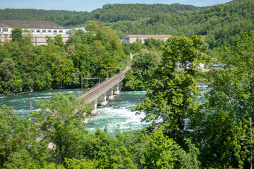 Fototapeta na wymiar Railroad bridge across flowing river among fresh green trees , background , copy space