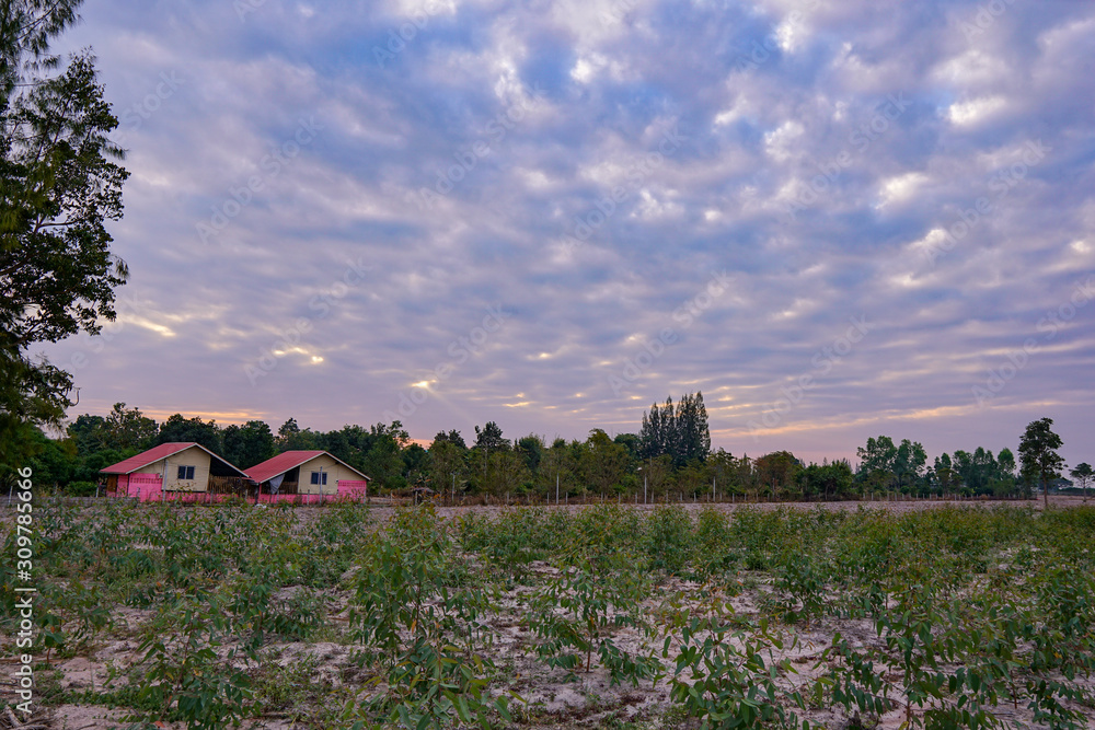 Wall mural beautiful sunset blue sky and cloud landscape view with two houses