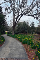 Obraz premium A walking path through a garden