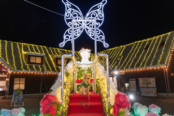 マザー牧場_ゴールデンレトニエル