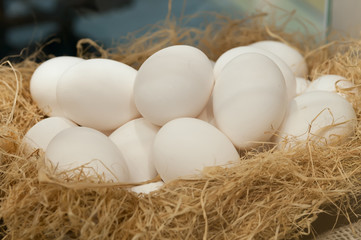 White chicken eggs in the straw nest at the chicken farm. Fresh eggs from hen house.