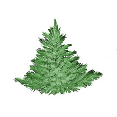Christmas tree, digital illustration