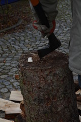 Brennholz mit der Axt spalten