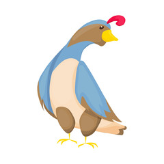 Cartoon happy Quail bird vector character.