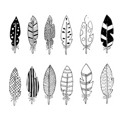vector feathers with abstract drawings
