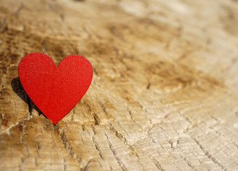 red heart on a tree trunk