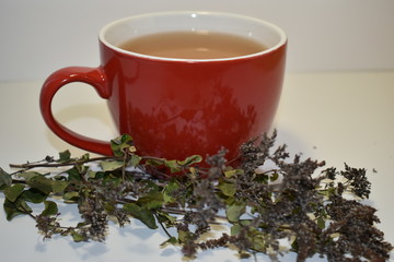 сup of tea