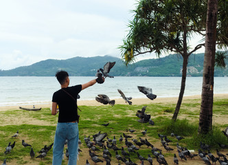 A young guy, in a black t-shirt and blue jeans, in flip-flops of different colors, feeds pigeons with his hands on the coast. Lifestyle