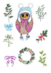 Cristmas set with owl , branches and wreath.