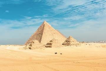 Fototapeta na wymiar horses beside the Great Pyramids