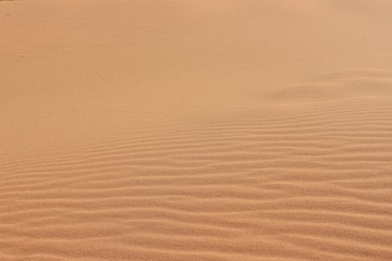 Fototapeta na wymiar Waves on the surface of sand in the desert. USA.