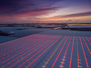 aerial view of modern agricultural greenhouses in the Netherlands that uses LED lights to support the growth of the plants; Westland, Netherlands