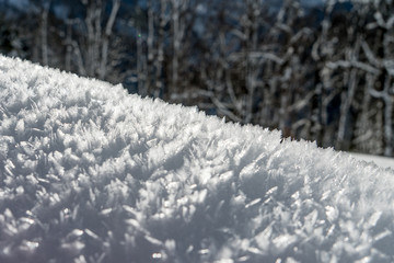 Stehende Eiskristalle