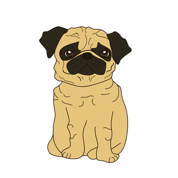 illustration of a cute breed of dog-pug