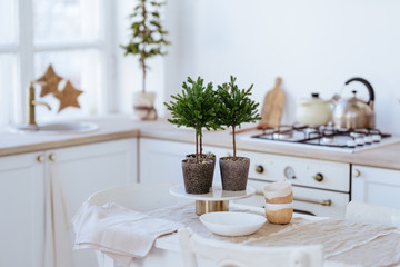 Christmas decoration on background white wall copy space