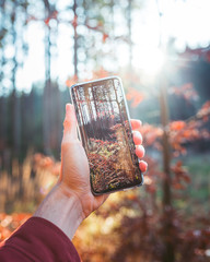 Hand man holding a smart phone to take pictures in the forest during the autumn season